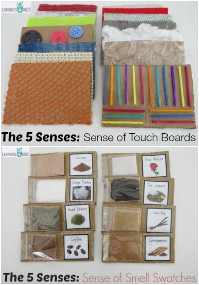 Five Senses – Sense of Smell & Touch Activity | Learning 4 Kids